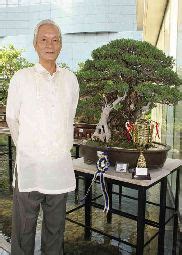 The Philippine ‘bantigue’ still rules the bonsai scene.
